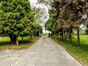 52 ha Farm in Seaview