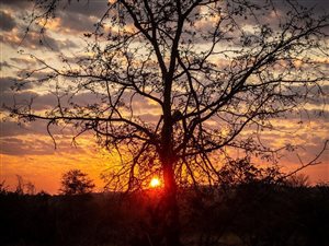 Commercial space in Parsons Game Reserve