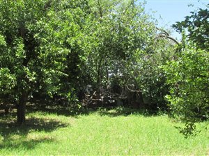 3 Bed House in Bela-Bela (Warmbaths)