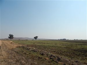 1 ha Land available in Kaydale