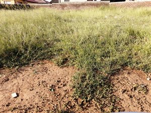 264 m² Land available in Soshanguve