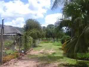 9.3 ha Farm in Dendron
