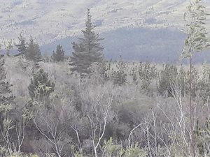 173 ha Farm in Riversdale