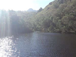 173 ha Farm in Riversdale