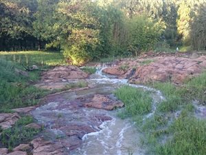 4 Bed House in Ruimsig