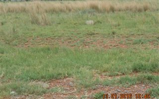 619 m² Land available in Riversdale