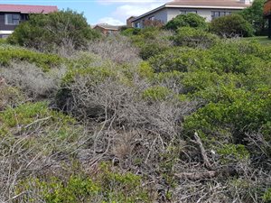 610 m² Land available in Boggomsbaai