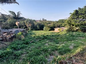 1069 m² Land available in Shelly Beach