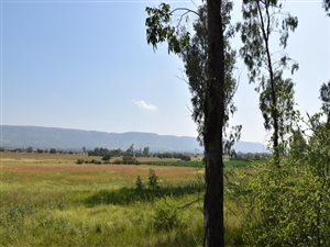 5 ha Land available in Kameeldrift West