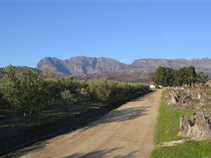 5 ha Farm in Paarl Central East