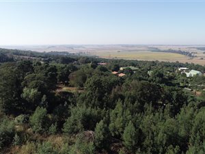 1.1 ha Land available in Grootfontein Estate