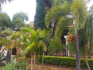 3 Bedroom House in Bo Dorp