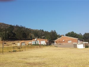 12.8 ha Farm in Walkerville