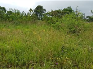 1400 m² Land available in Louis Trichardt