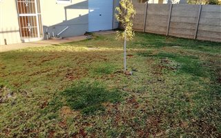 2 Bedroom House in Upington