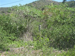 2892 m² Land available in Nahoon Valley