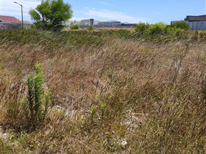 1927 m² Land available in Weltevreden Valley
