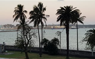 1 Bedroom Apartment in Esplanade