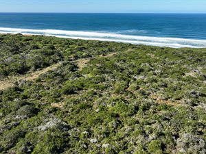 2346 m² Land available in Springerbaai Eco Estate