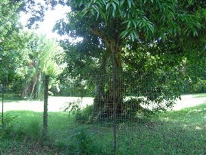 1100 m² Land available in Mtunzini