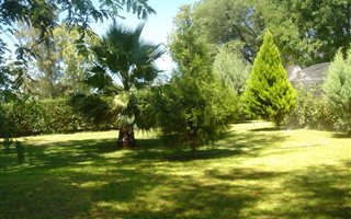 11.5 ha Farm in Kimberley