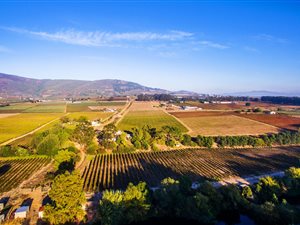 10 ha Farm in Paarl Central East