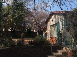 4 Bed House in Pioneer Park