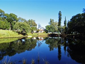 44 ha Farm in Cullinan