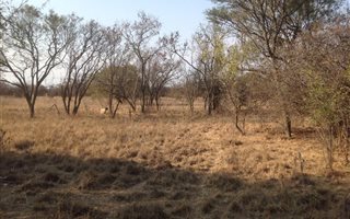 4.5 ha Land available in Kameeldrift East
