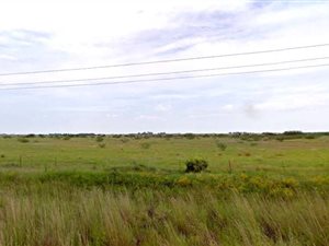 242 ha Farm in Delareyville