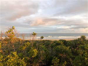 918 m² Land available in Boknesstrand