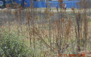 2 ha Land available in Meyerton Park