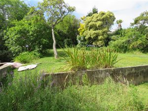 1333 m² Land available in Paradise