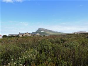 810 m² Land available in Bettys Bay