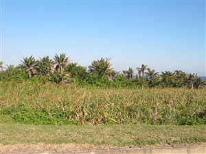 1166 m² Land available in Leisure Bay