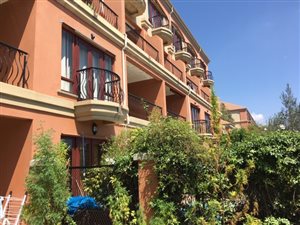 2 Bed Apartment in Morningside