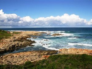 134 ha Farm in Cape St Francis