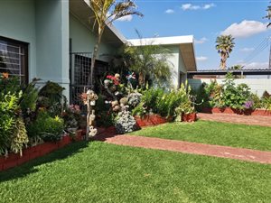 3 Bed House in Peerless Park