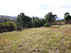 931 m² Land available in Woodlands