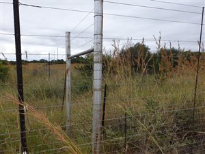 22 ha Farm in Dinokeng