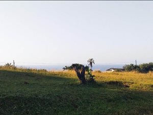 1102 m² Land available in Hibberdene