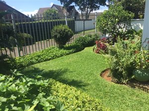 1 Bed Simplex in Boughton