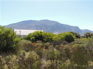 1181 m² Land available in Bettys Bay