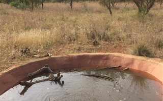 21 ha Farm in Dinokeng