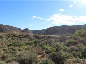 1155 ha Farm in Albertinia