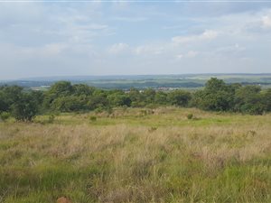 4.4 ha Farm in Tierpoort