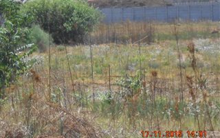 2000 m² Land available in Meyerton Park