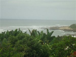 2 Bed Apartment in Palm Beach