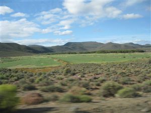 4622 ha Farm in Calvinia
