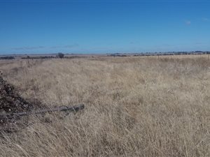 2.1 ha Land available in Helderstrome AH